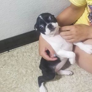 Meet your Posher, Grace